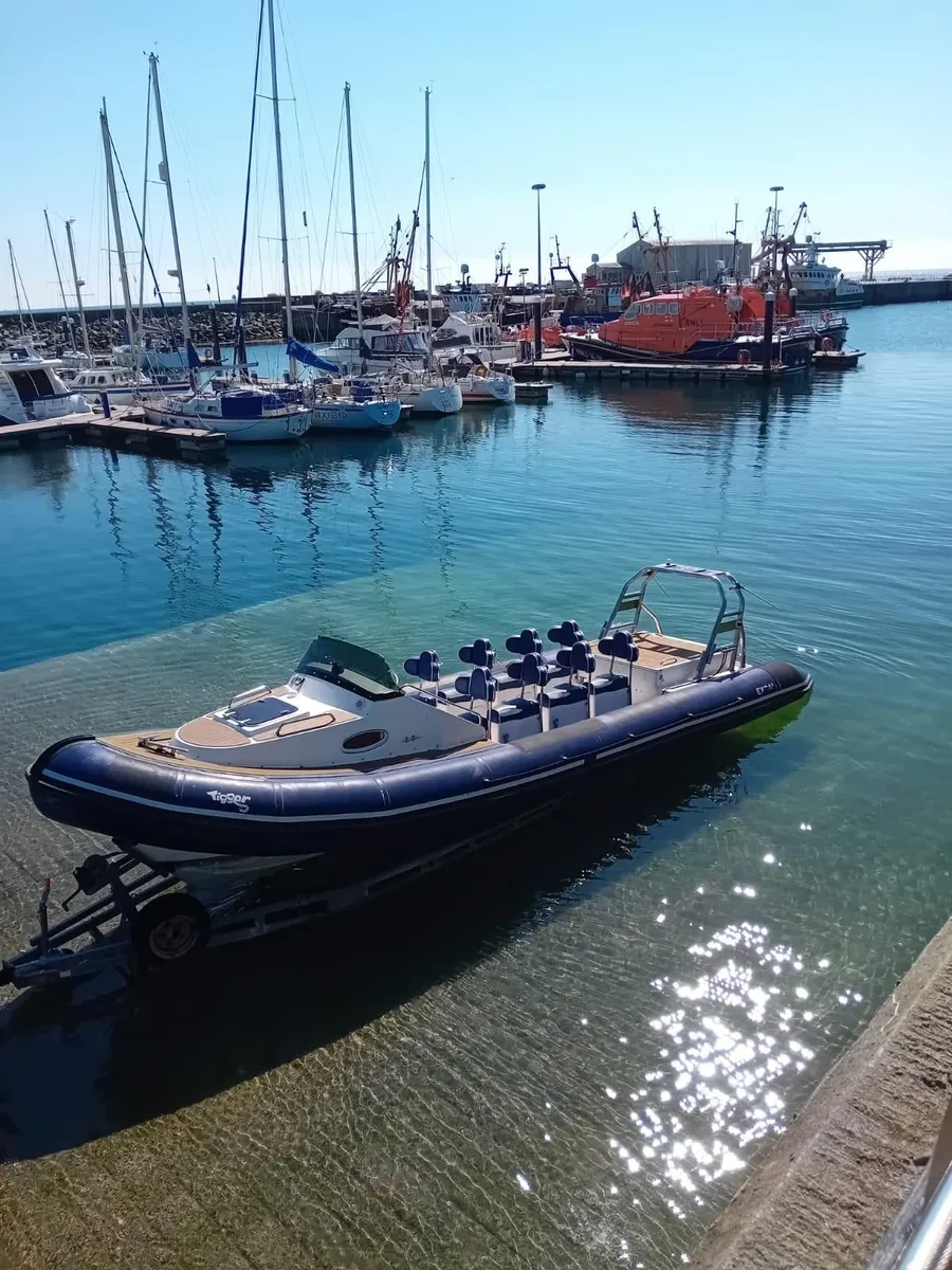 9.2m Excalibur Rib, inboard Diesel - Image 1
