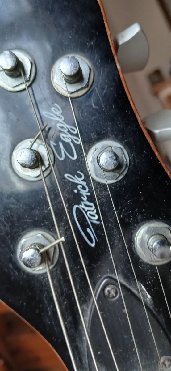 patrick eggle pro berlin electric guitar - Image 1