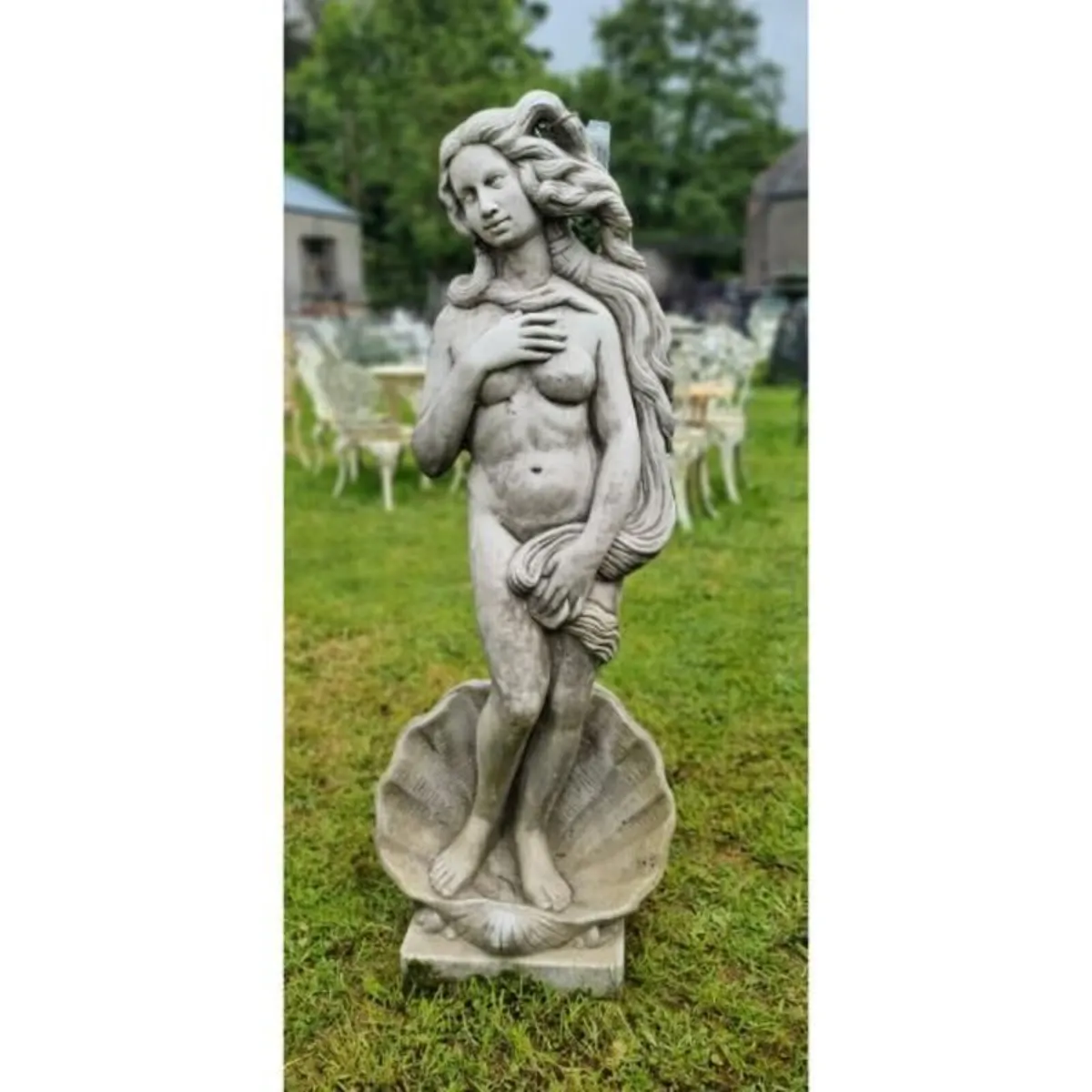 Birth of Venus GL LS013 - Image 1