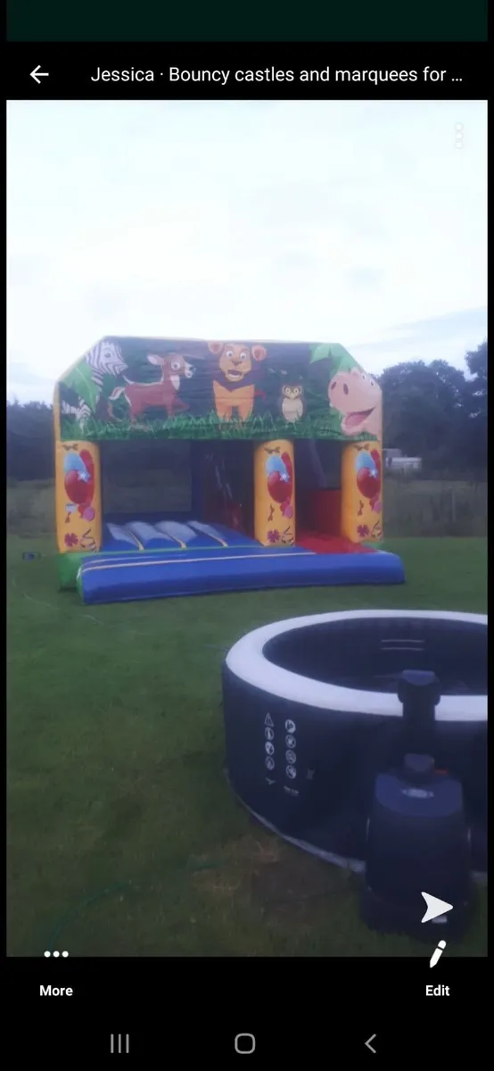 Bouncy castle - Image 1