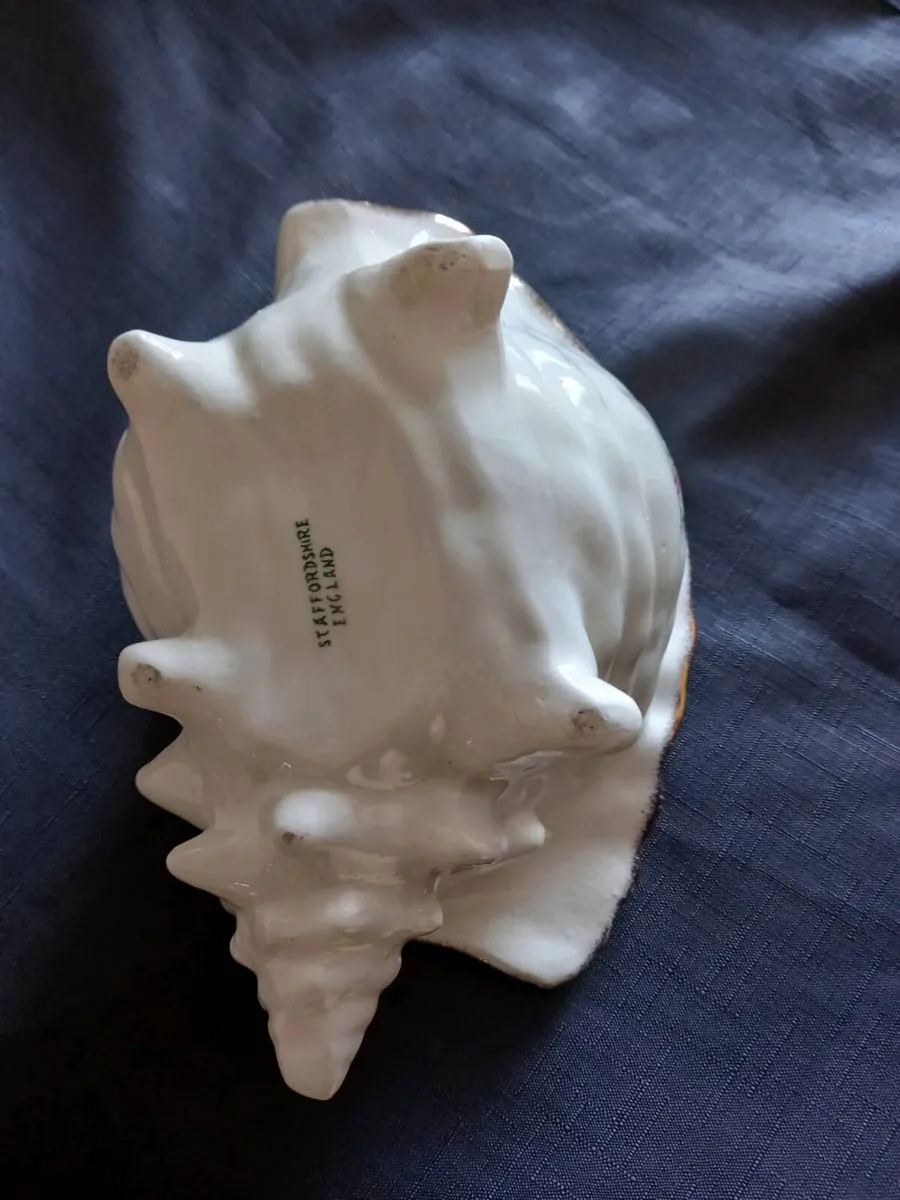 2 Conch Shell Planters - Image 3
