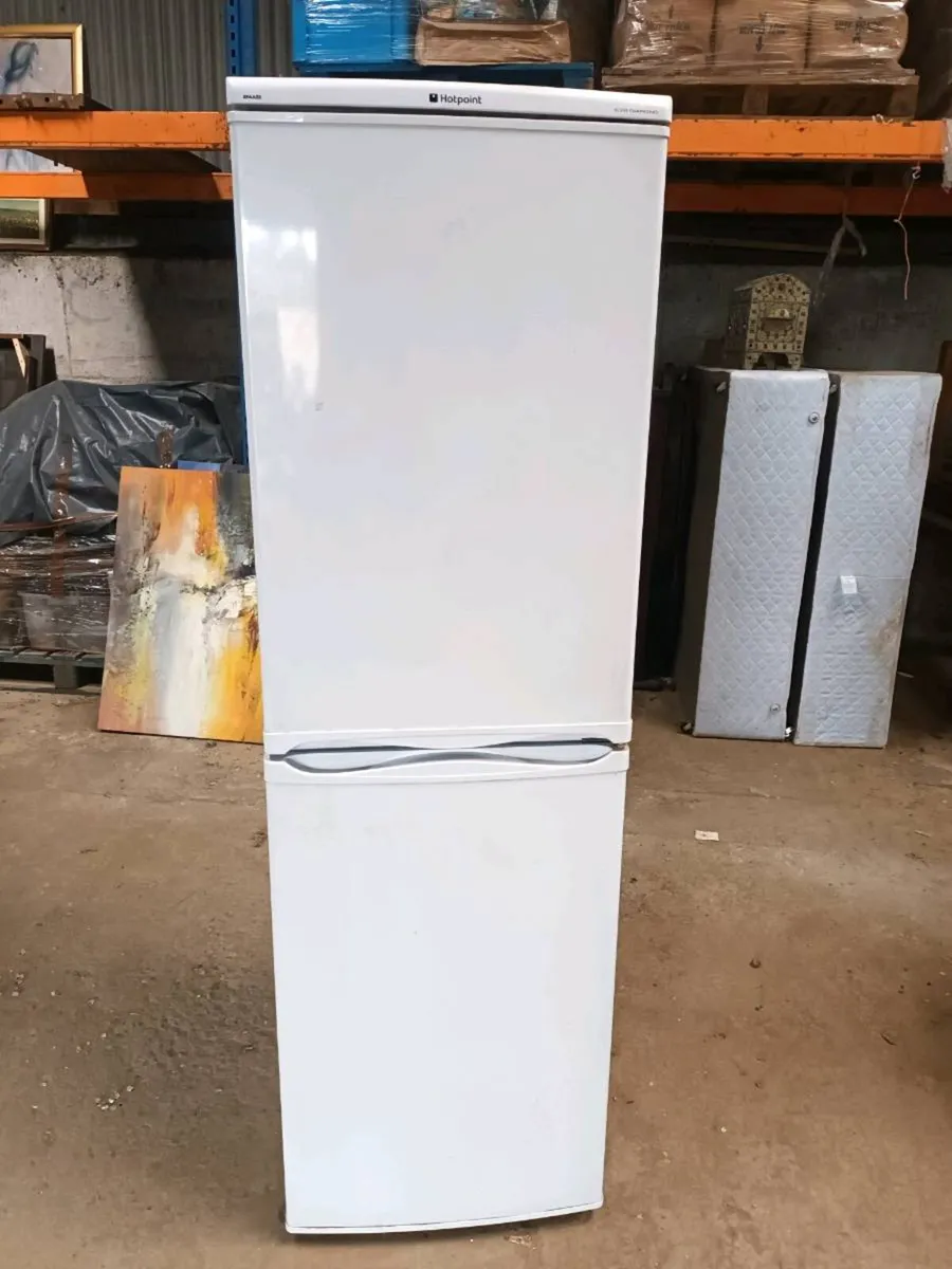 Fridge Freezer - Image 1