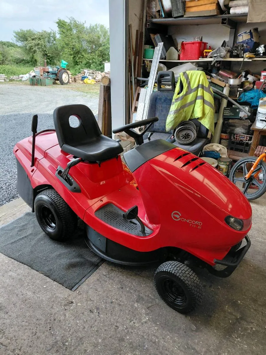 Lawn mower - Image 1