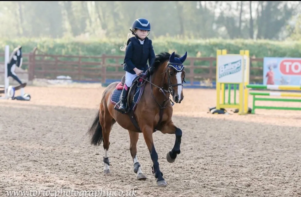 All round beautiful pony 122cm - Image 3