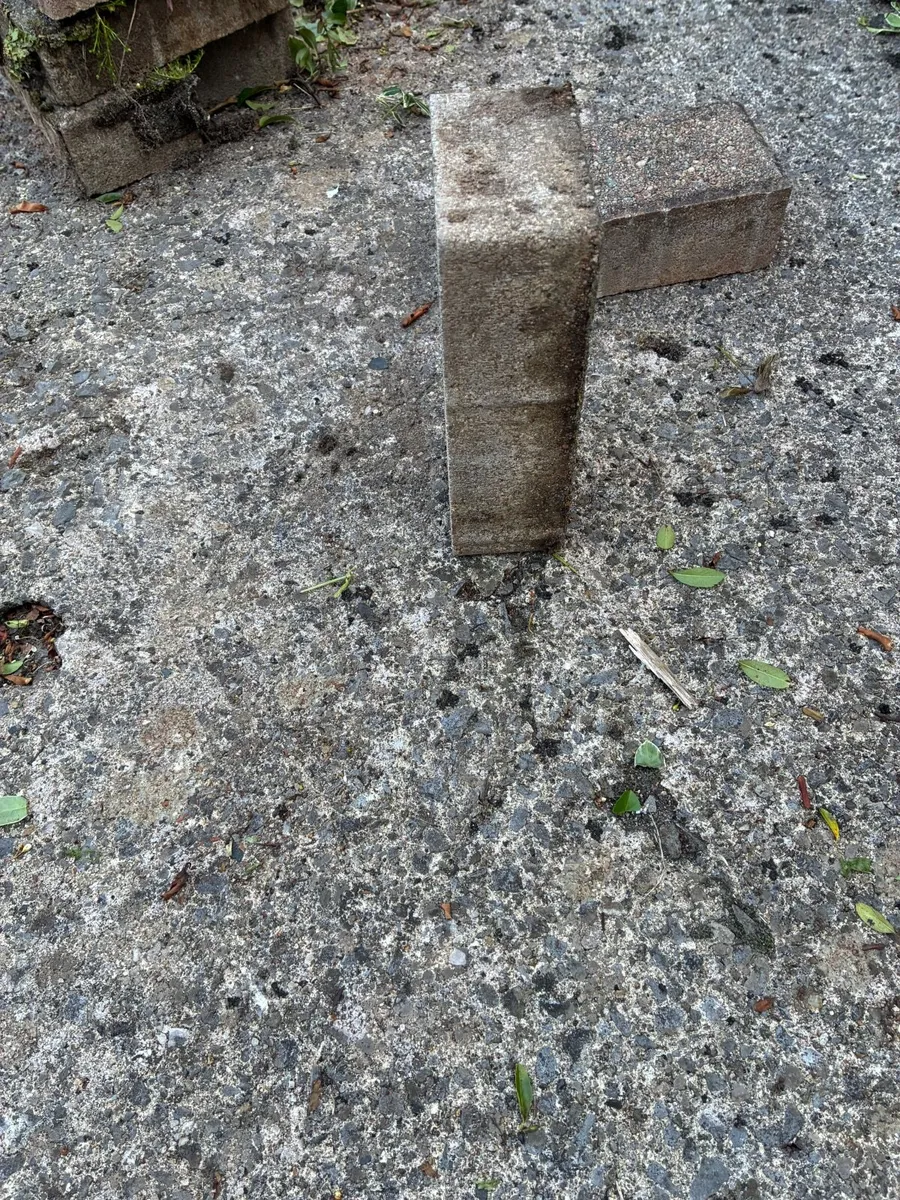 Paving bricks - Image 2