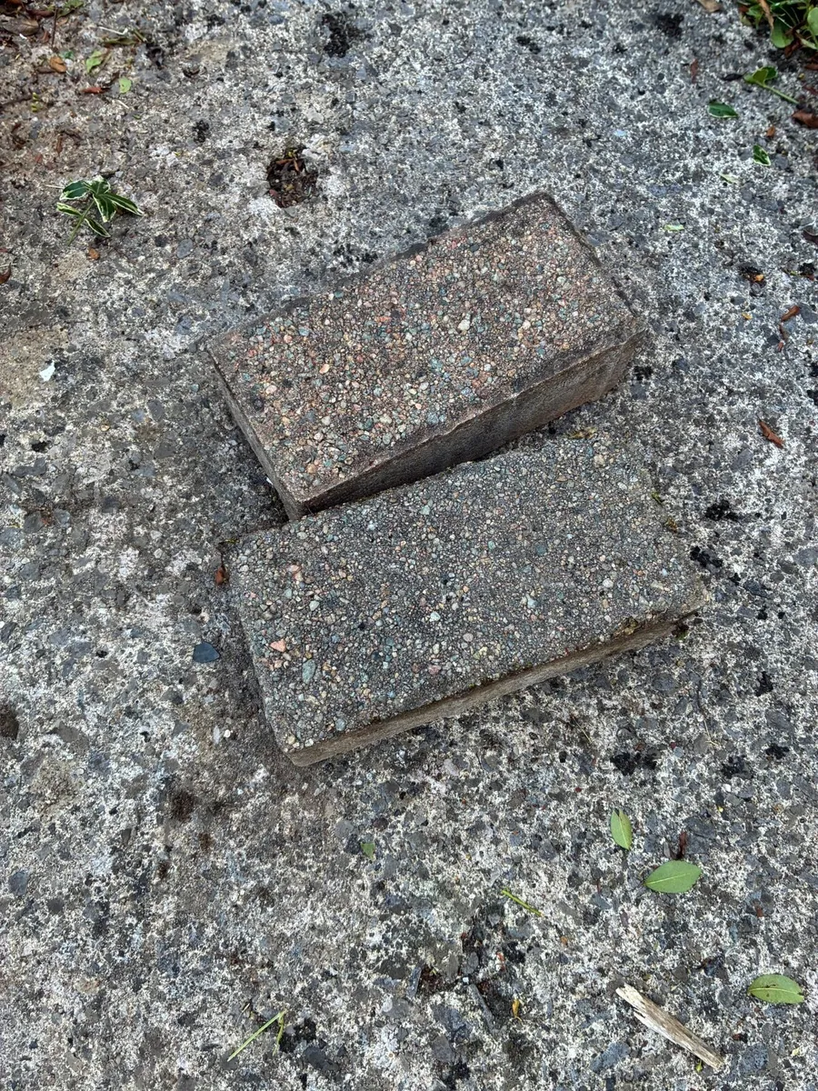 Paving bricks - Image 3