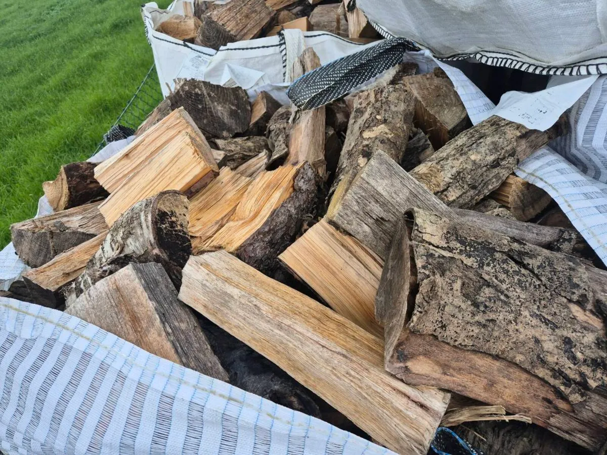 Fire wood - Image 1