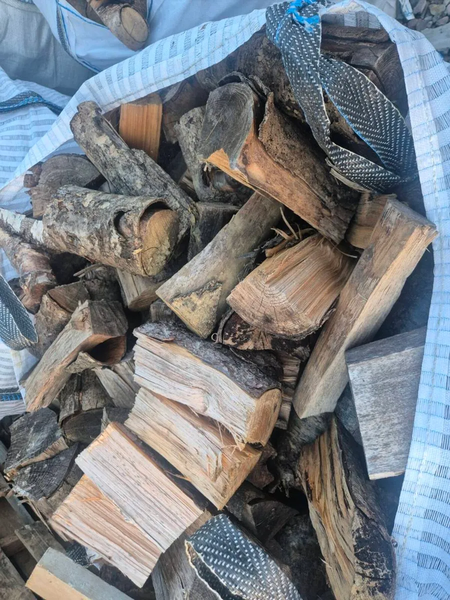 Fire wood - Image 2