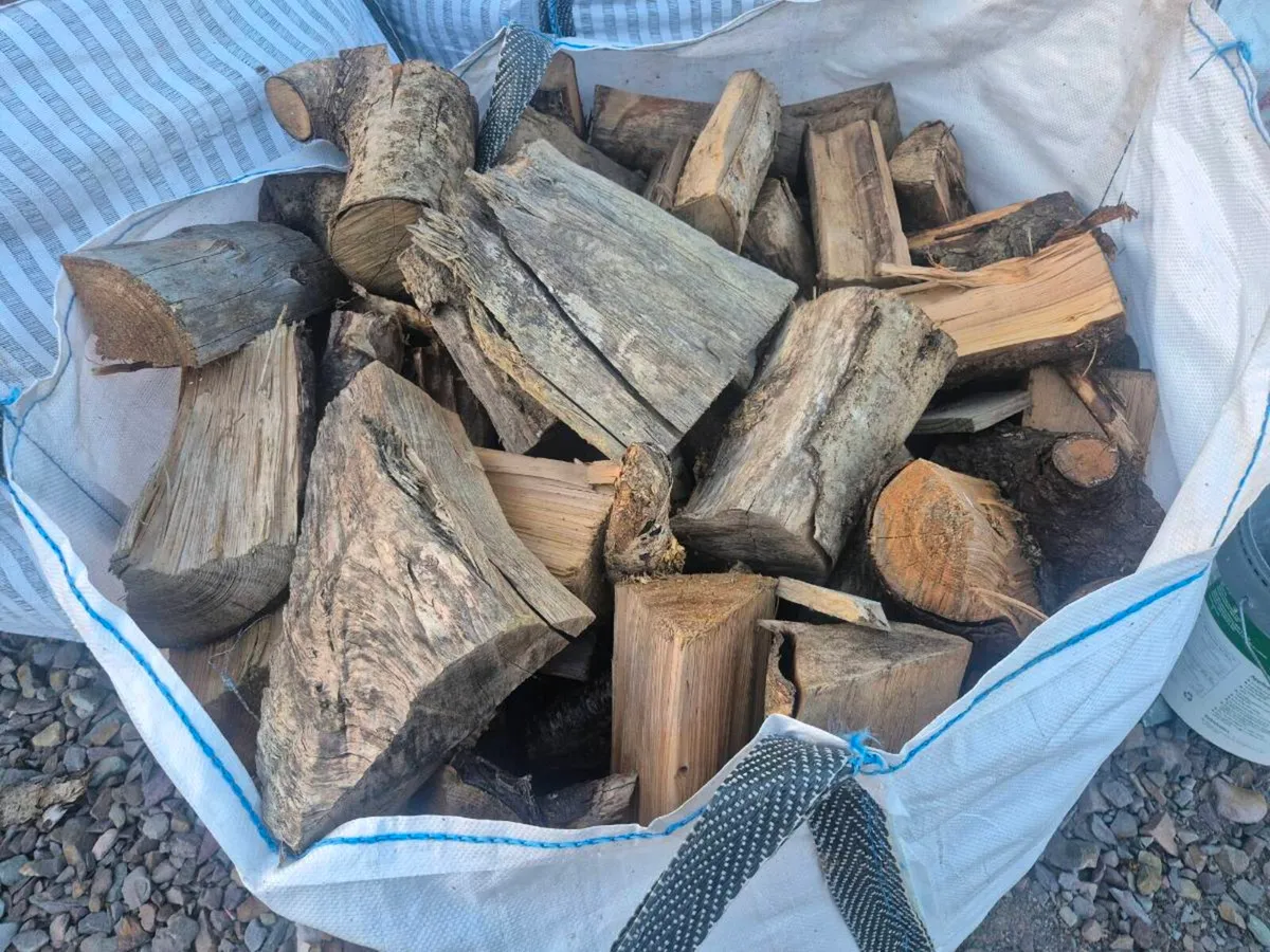 Fire wood - Image 3