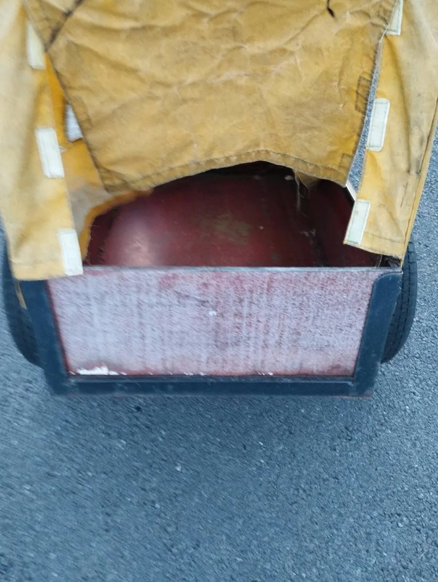 Berg Go Kart Trailer - Image 3