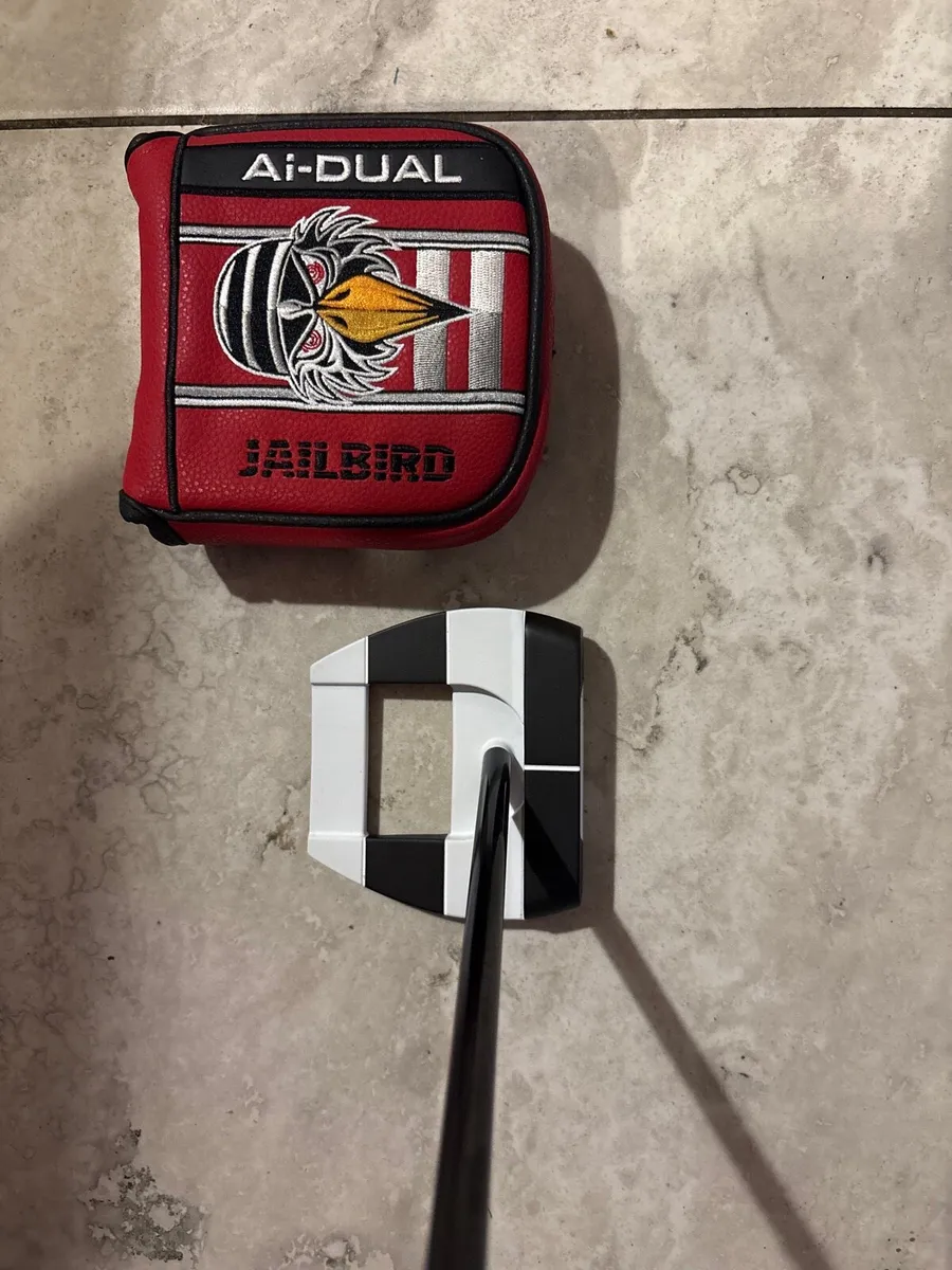 Left Hand Odyssey Ai-Dual S2S Jailbird - Image 1