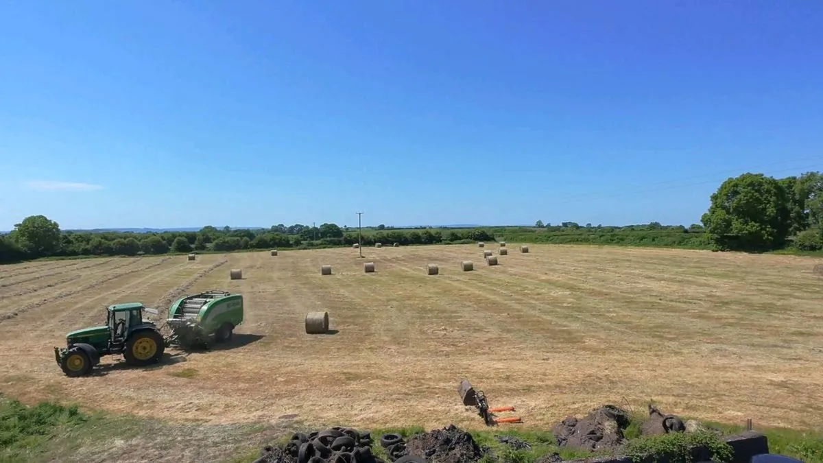 Hay / Haylage - Image 2