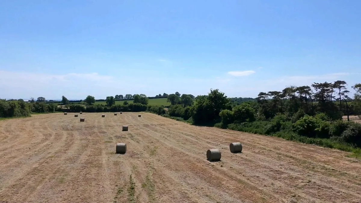 Hay / Haylage - Image 1
