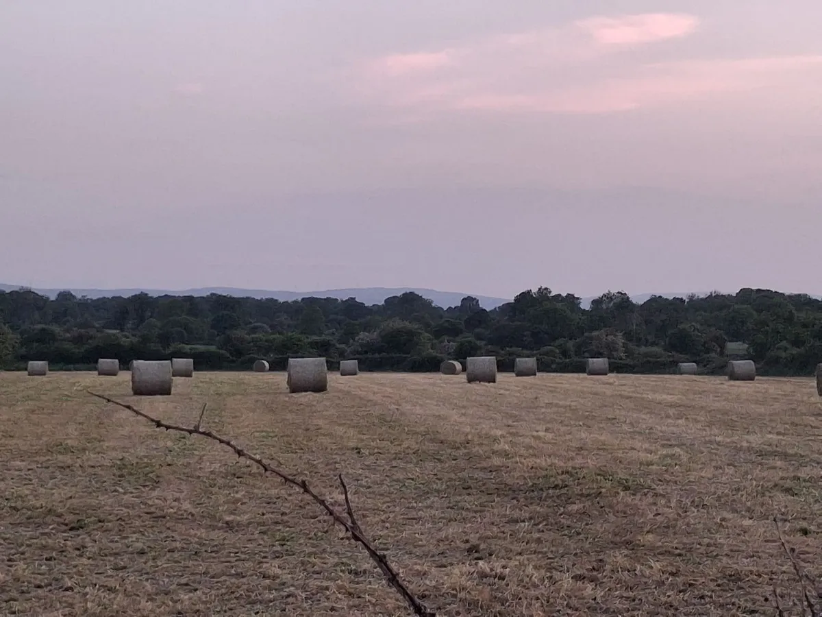 Round bales of Hay - Image 2