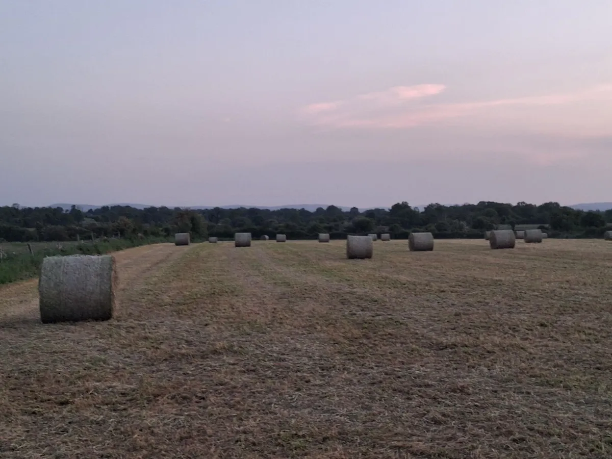Round bales of Hay - Image 3