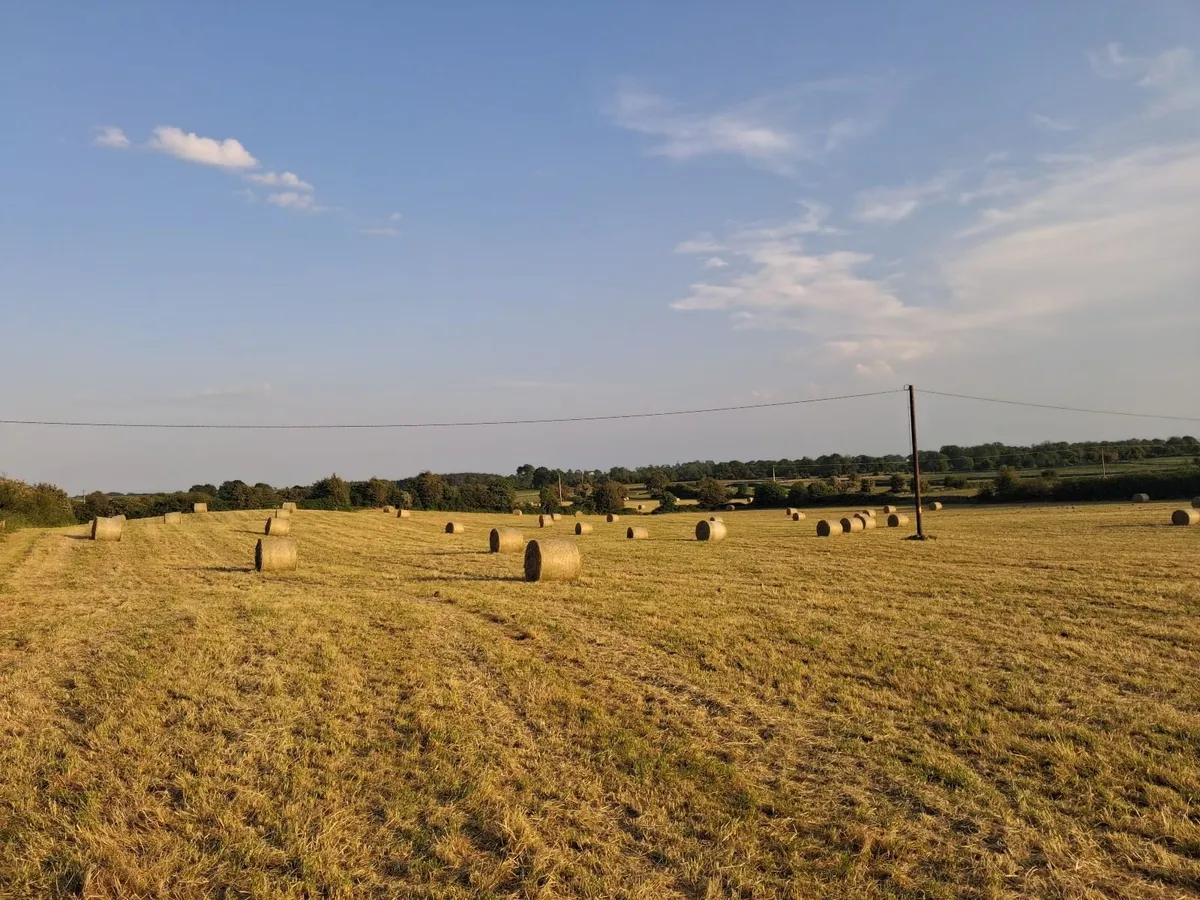 Round bales of Hay - Image 4