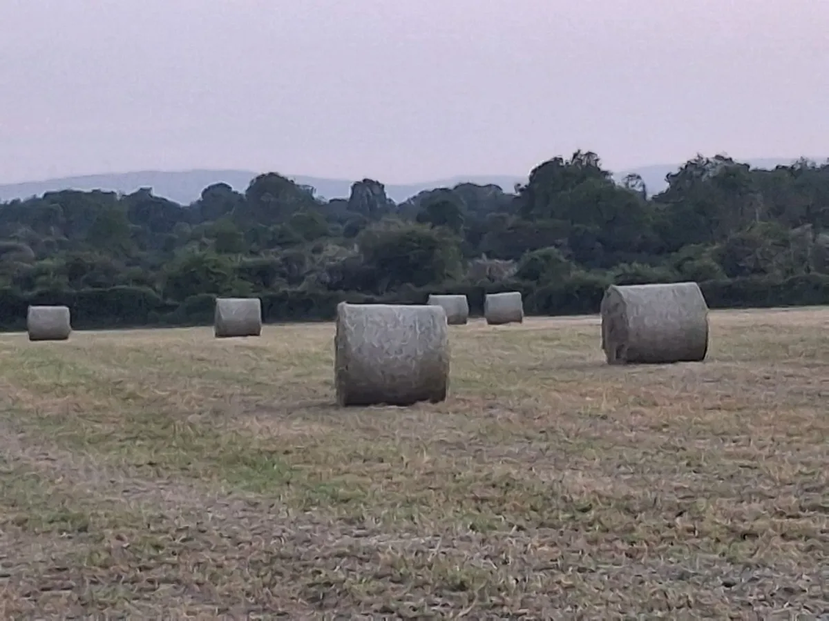 Round bales of Hay - Image 1