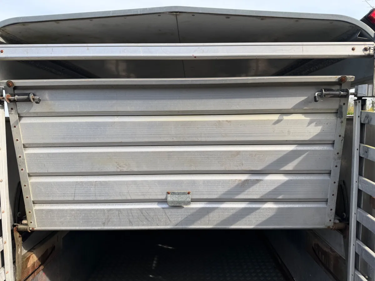 Sheep decks - Image 3