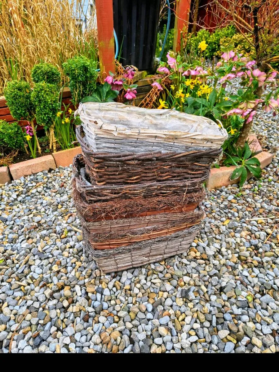 Six wicker window boxes - Image 1