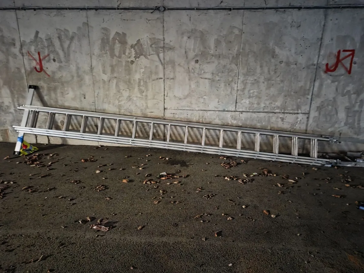 LADDER - Image 3