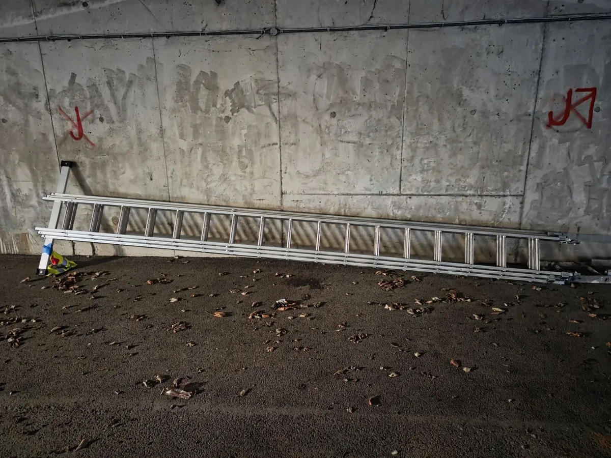 LADDER - Image 4