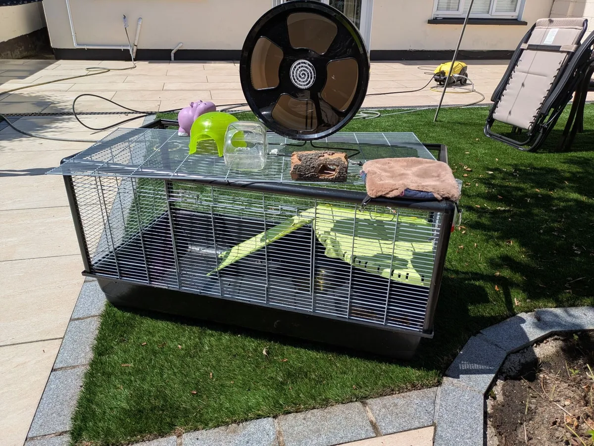 Hamster or Guinea Pig Cage and Accessories - Image 3