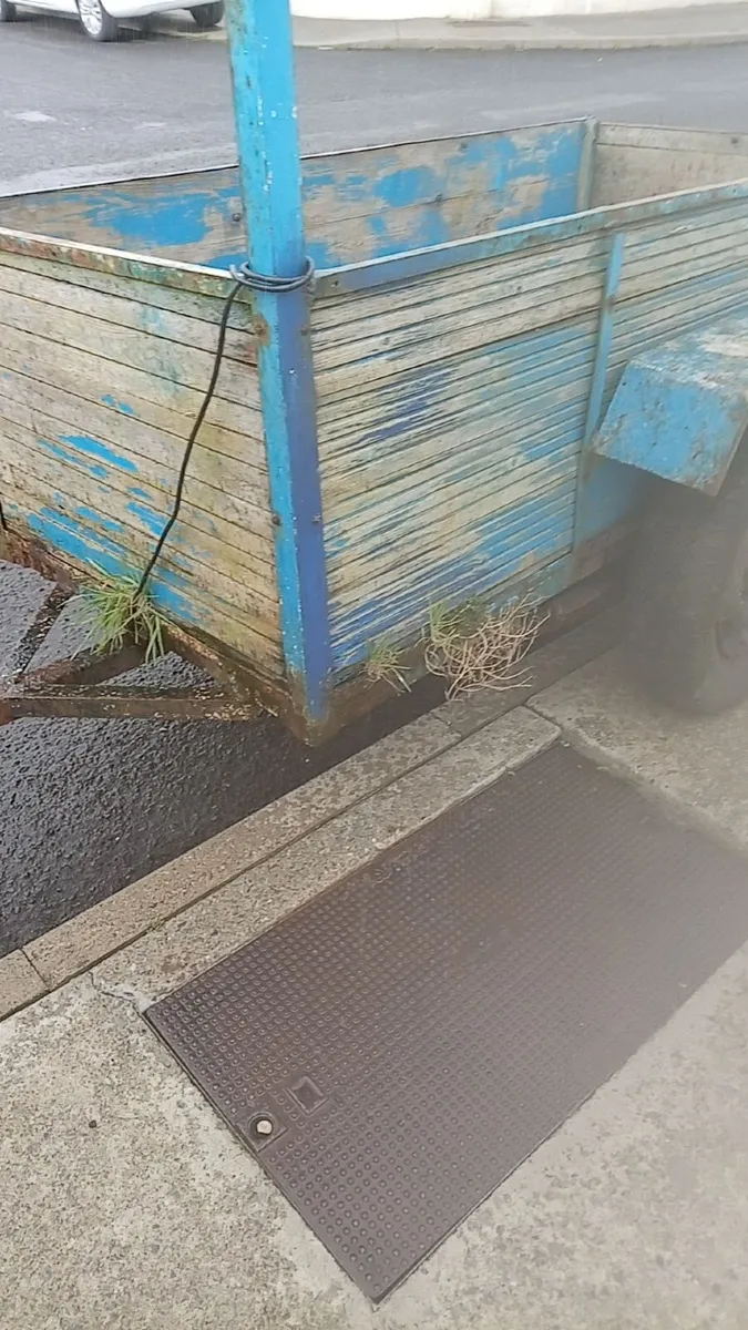 Single axle trailer - Image 3