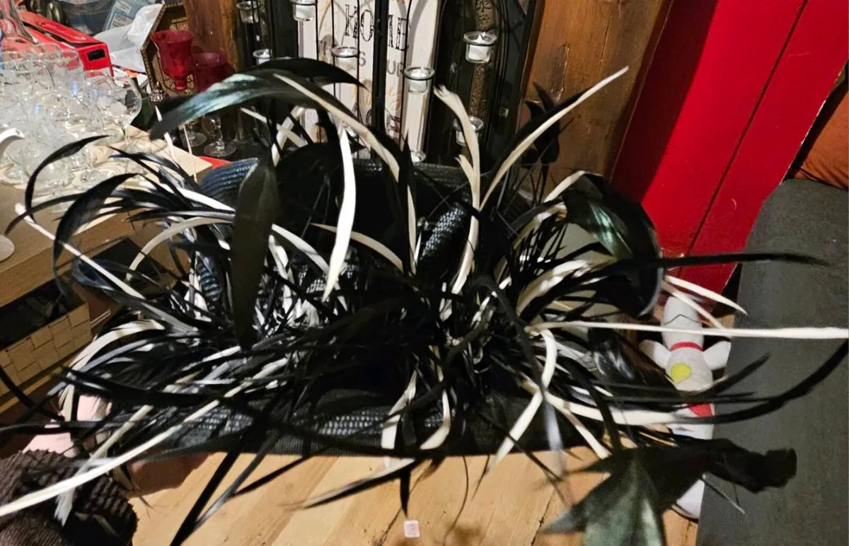 Whiteley Ladies Feather Hat - Image 3