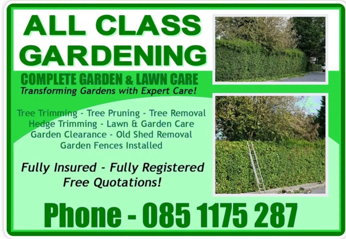 All class  steam cleaning and garden