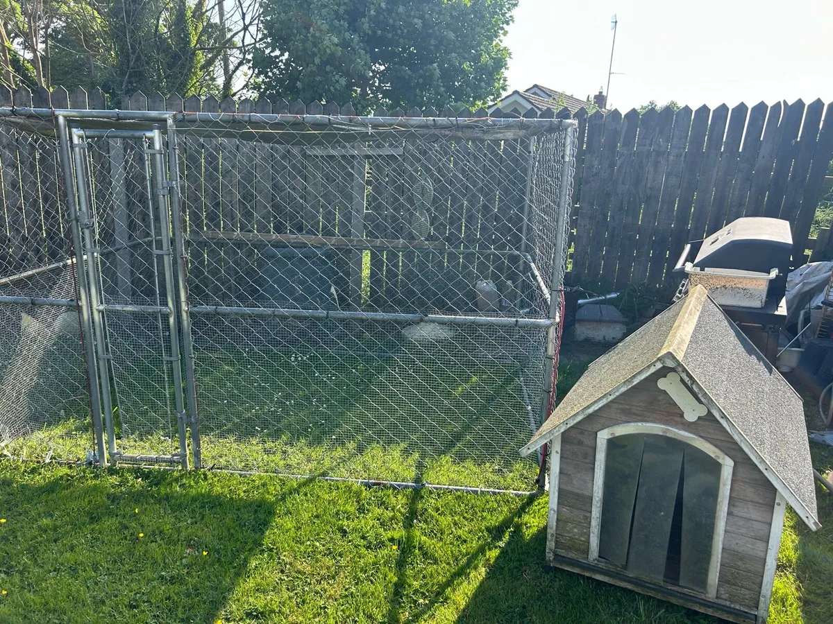 Dog Penn - Image 1