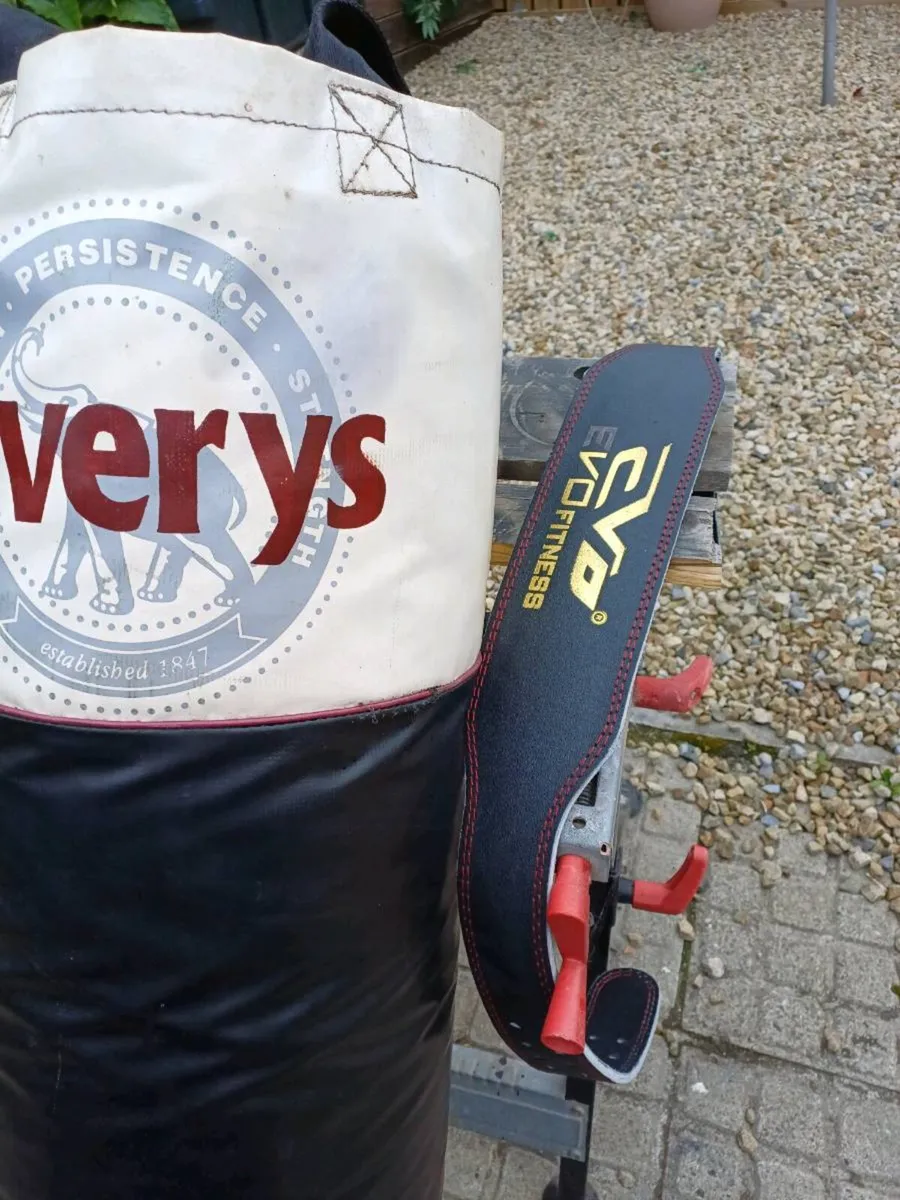 Elverys Boxing Bag Plus Gloves - Image 2