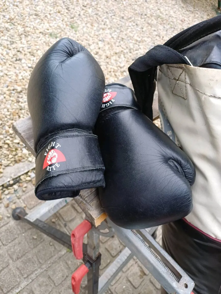 Elverys Boxing Bag Plus Gloves - Image 3