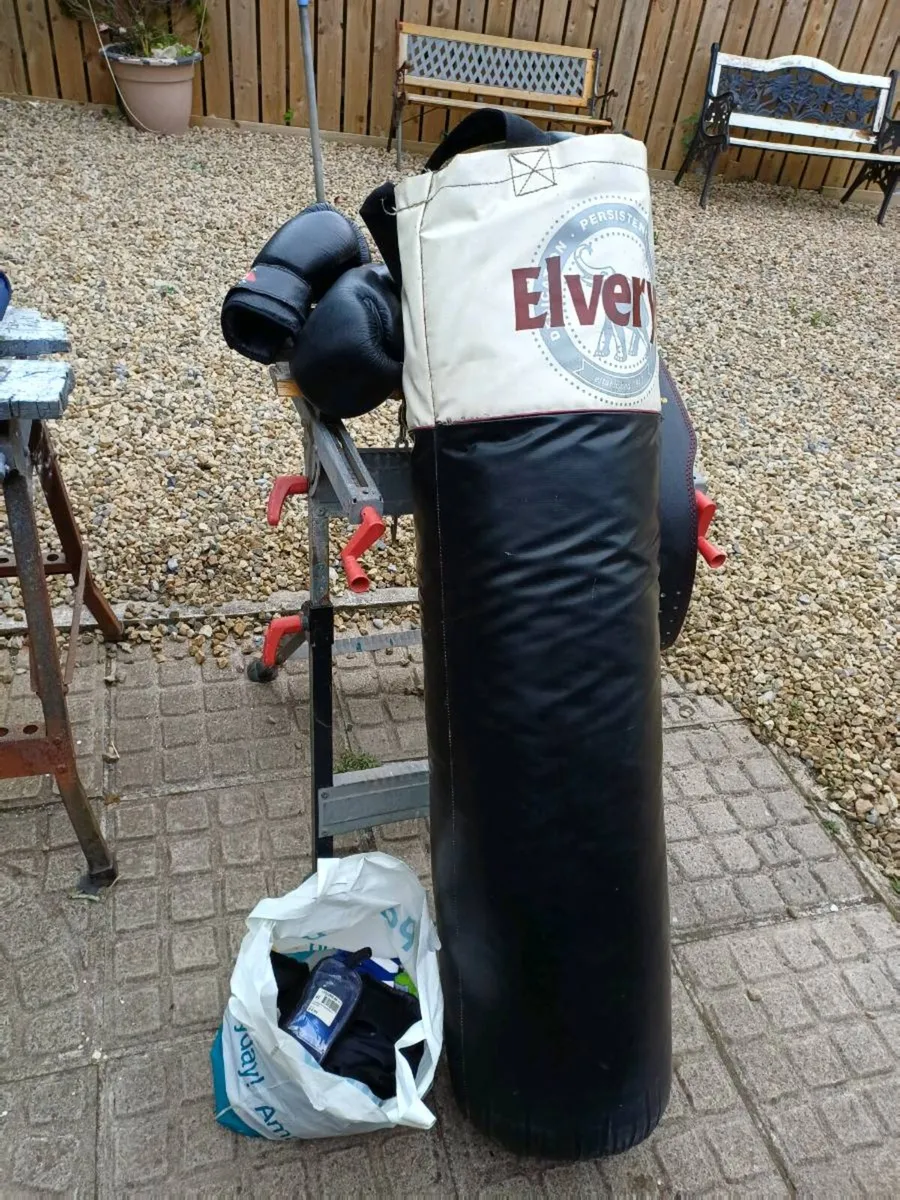 Elverys Boxing Bag Plus Gloves - Image 1