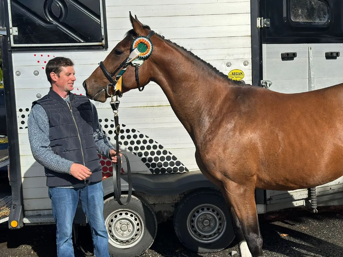 Racing Pony - Image 4