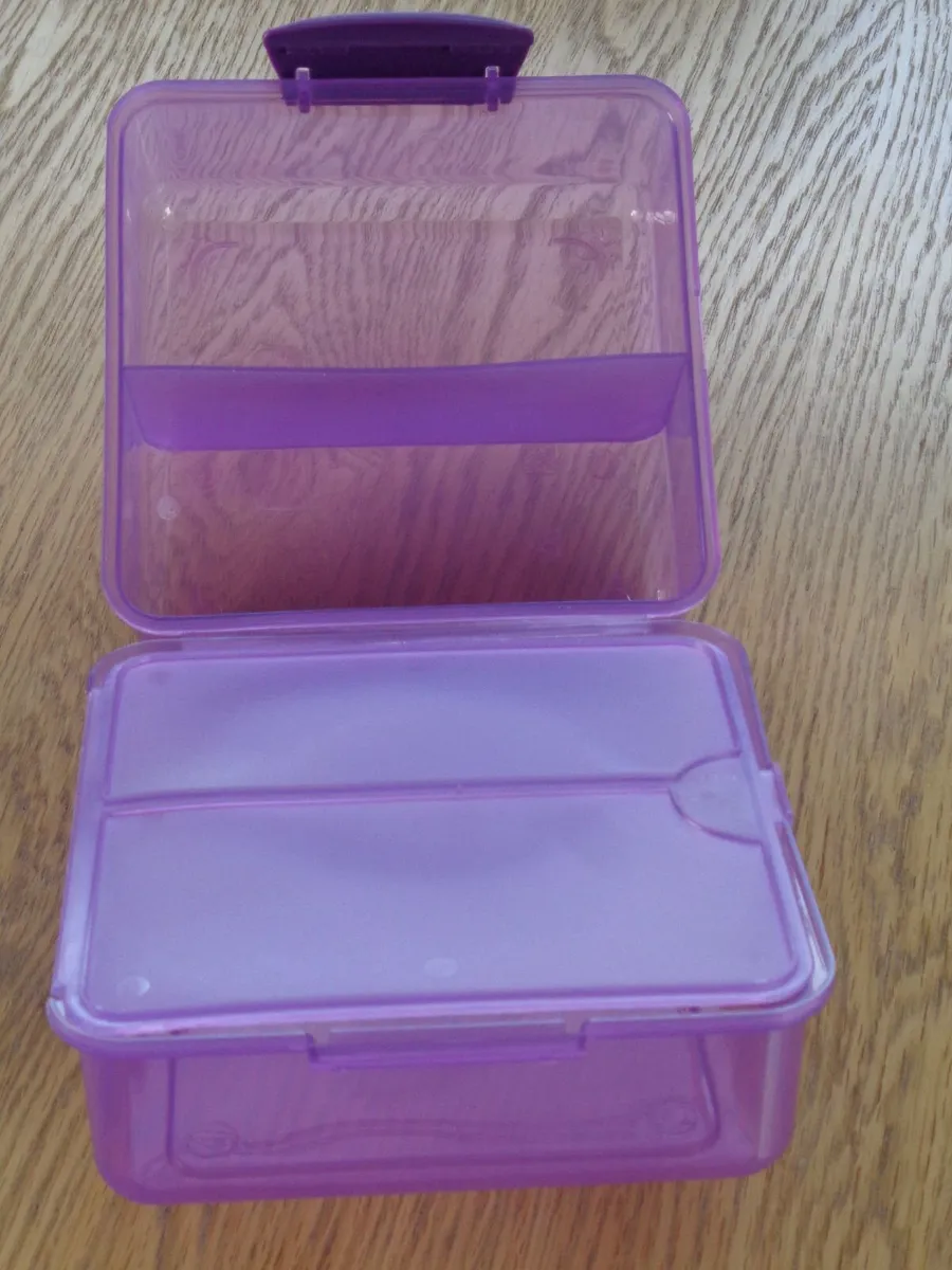 Lunch Box for Sale - Image 4