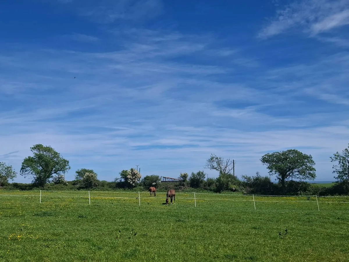 Horse/Livery/Diy/Full - Image 3