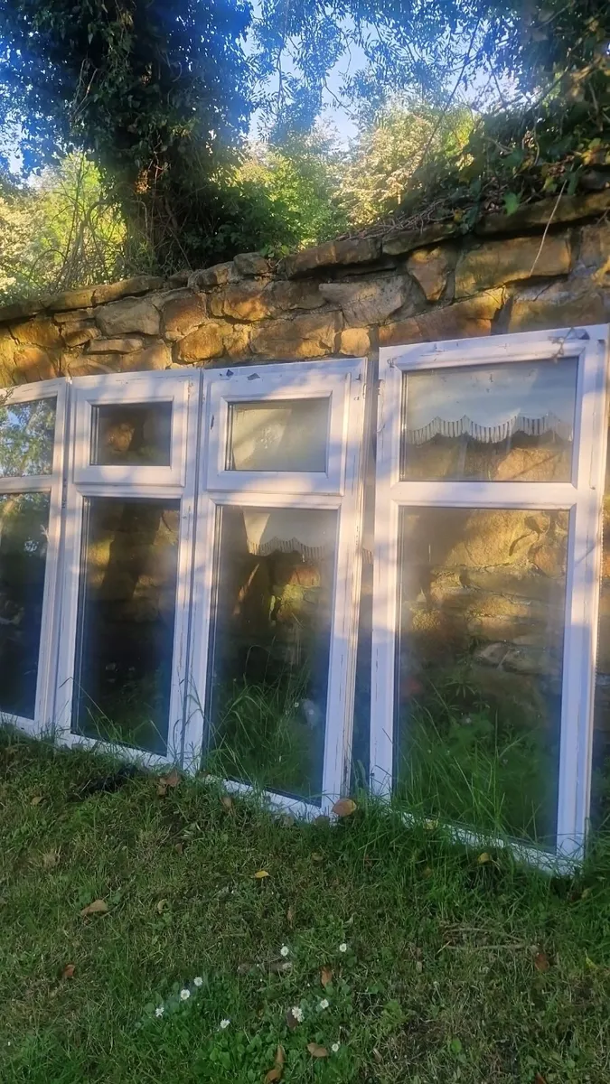 10 Conservatory Windows & 1 Double Door. - Image 1