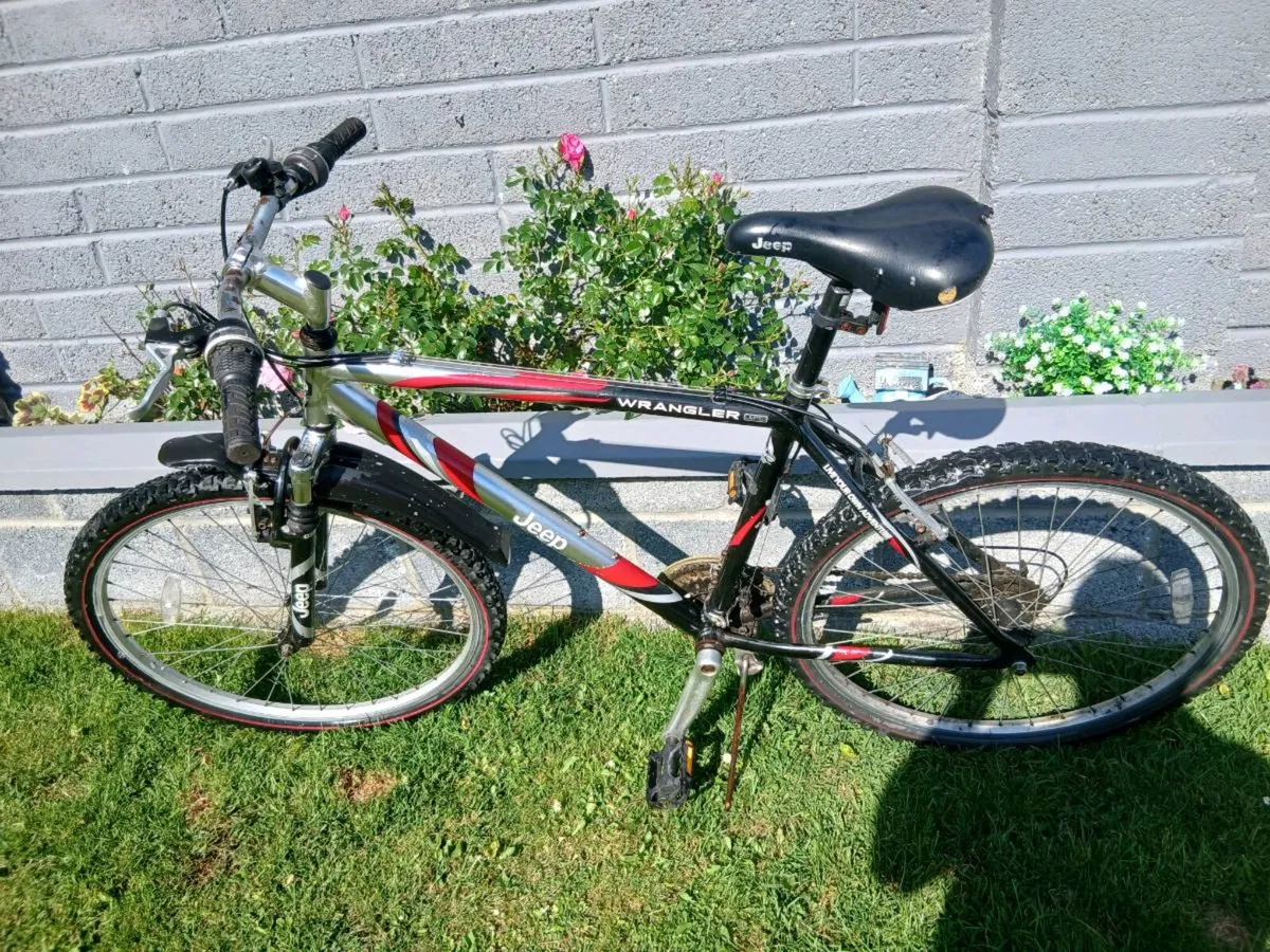 ADULTS BIKE - Image 2