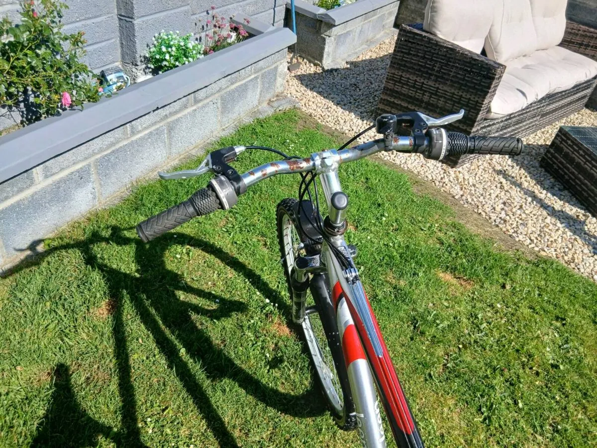 ADULTS BIKE - Image 3