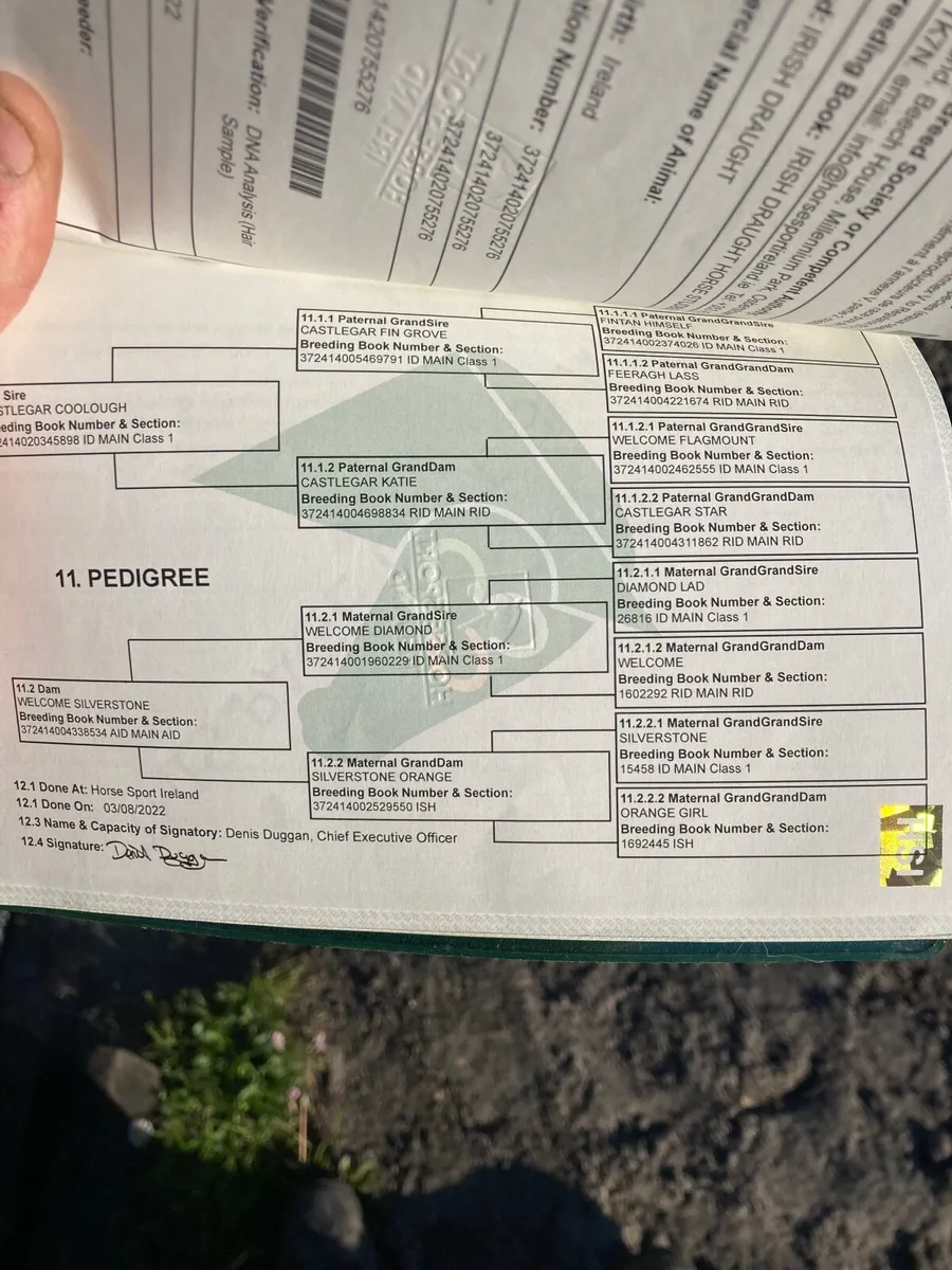 **going to granard the 28th of may ** - Image 3