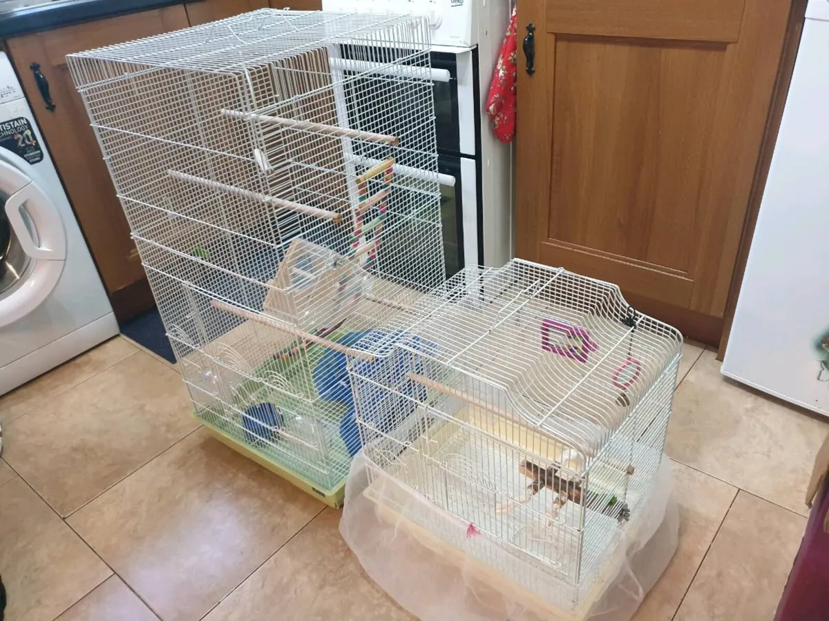Parrot Cages - Image 1