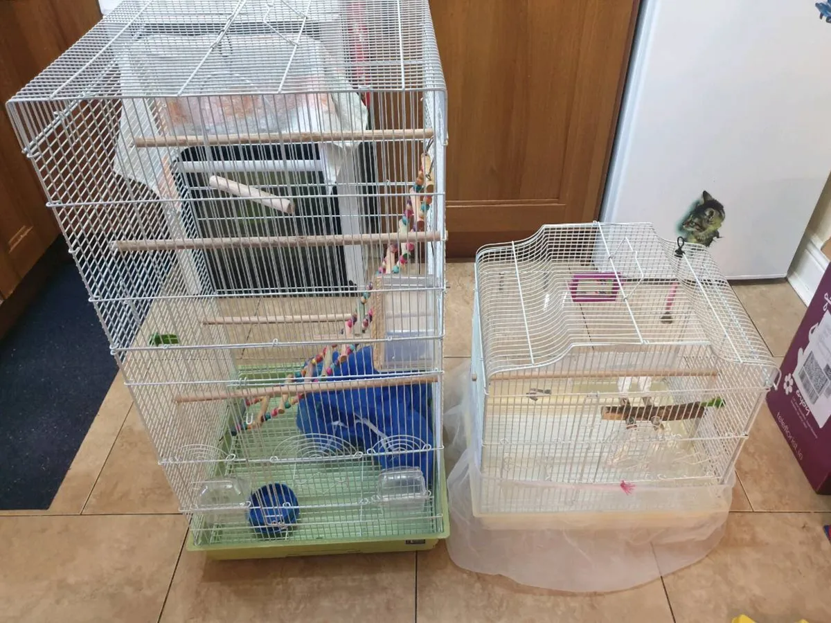Parrot Cages - Image 2