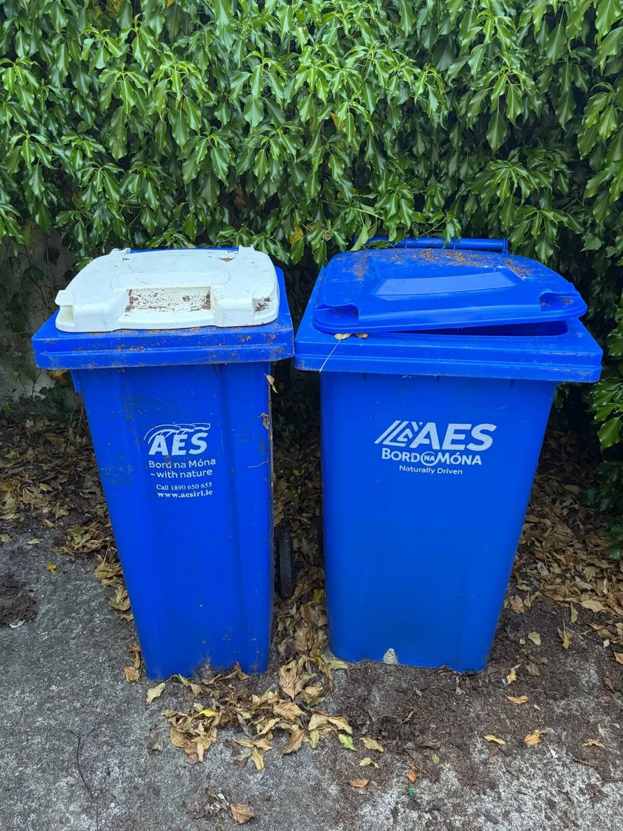 Wheelie bins