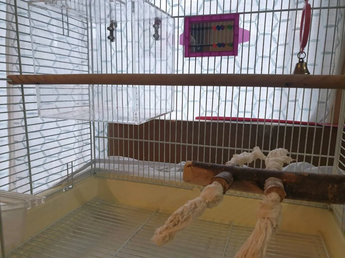Parrot Cages - Image 3