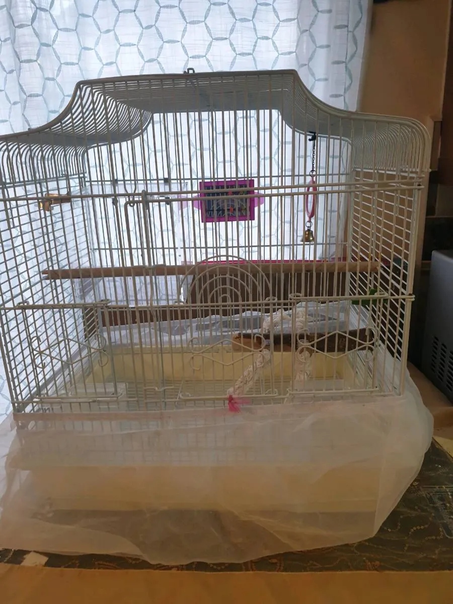 Parrot Cages - Image 4