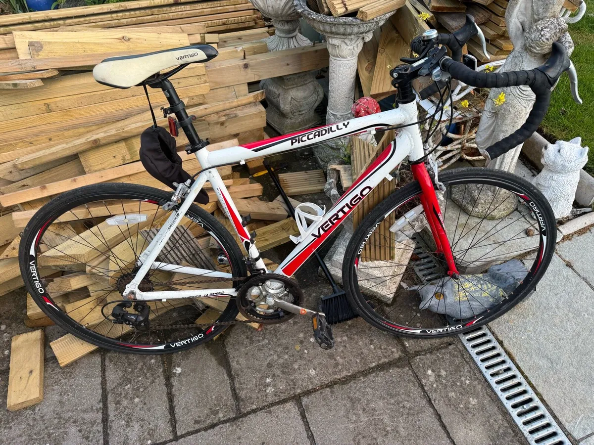 Vertigo Road racing Bike - Image 1