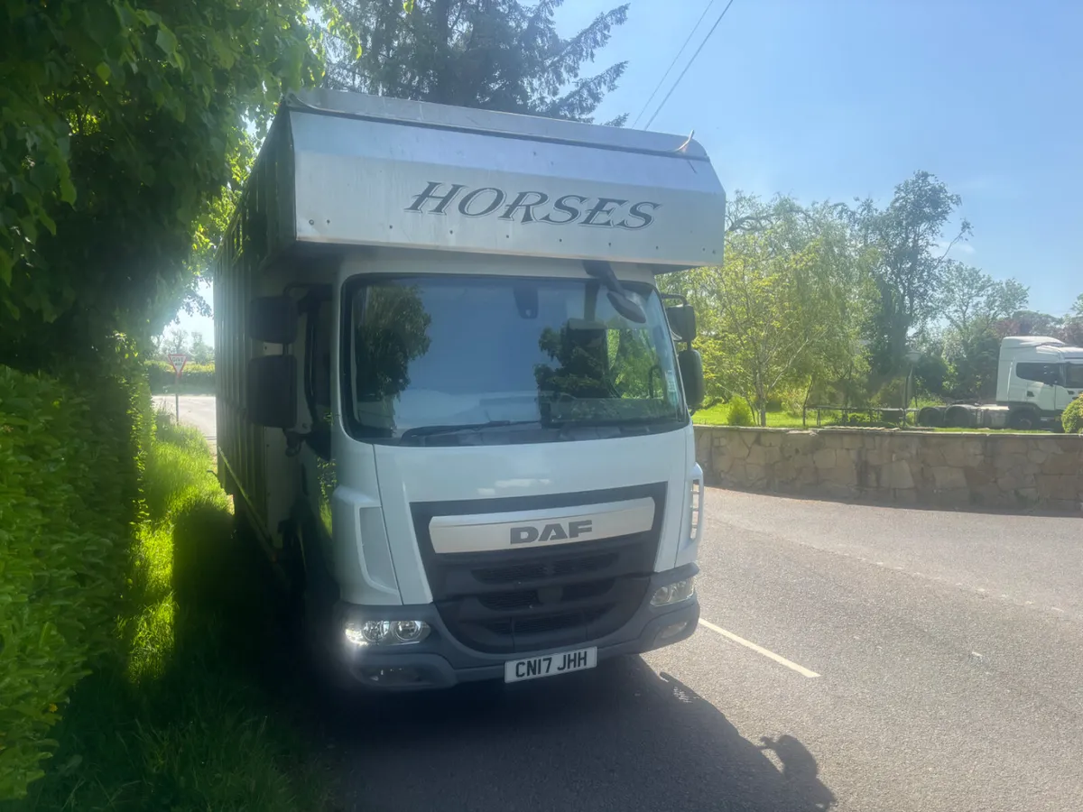 Daf lf horse lorry tri star body - Image 2
