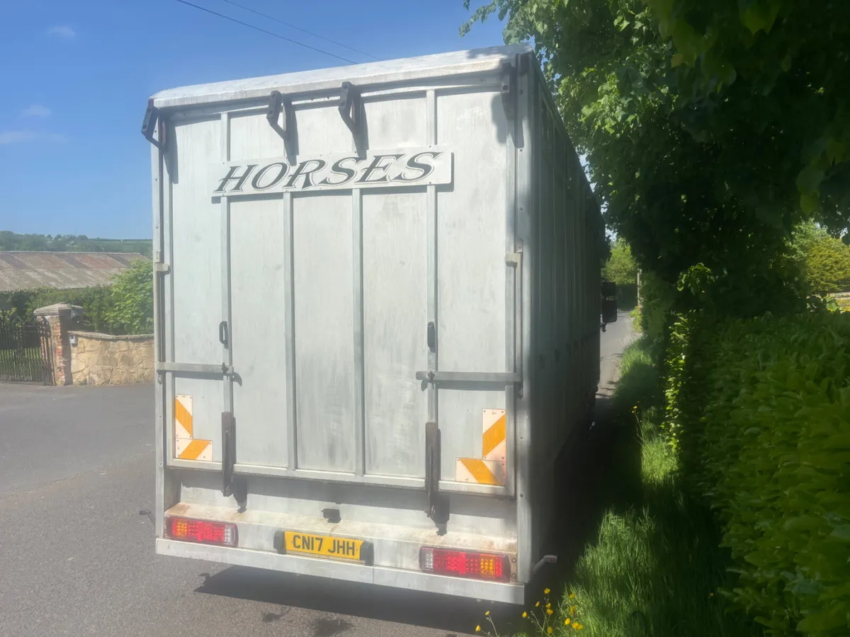 Daf lf horse lorry tri star body - Image 3