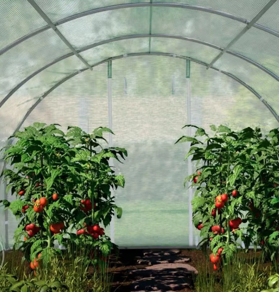 New Polytunnel 3m x 4m Free Delivery - Image 1