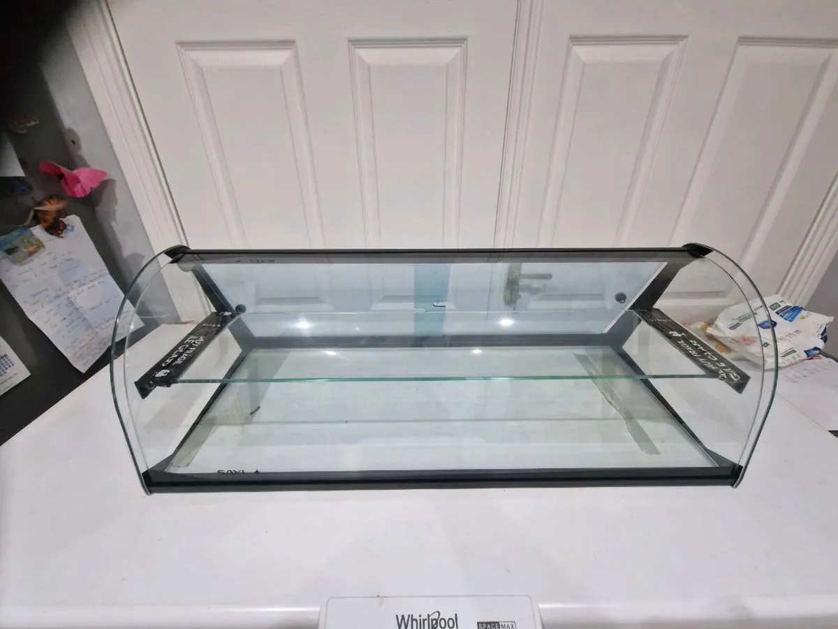 Standard Curved display case with shelf - Image 4